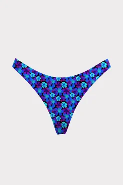 GEMMA BOTTOM (DUSK)><noscript><img width=
